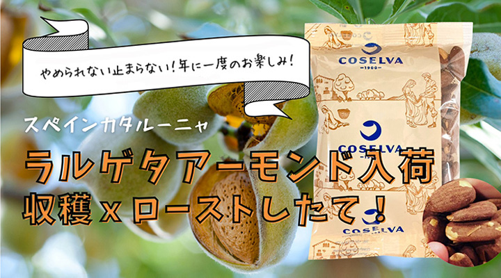 アーモンド