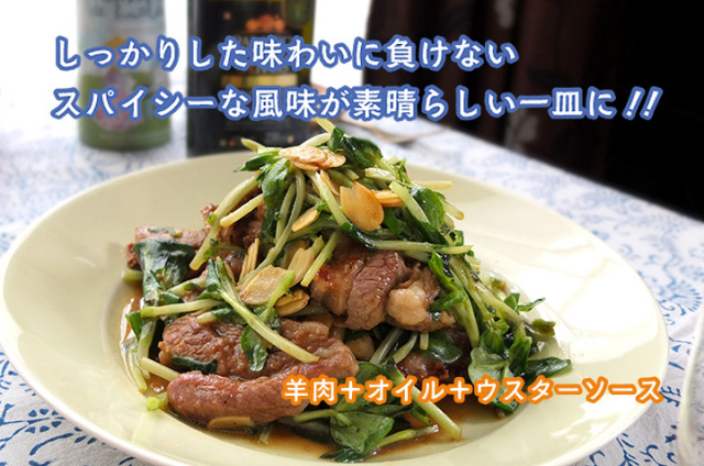 パラシオ 羊肉と豆苗のスパイシー炒め