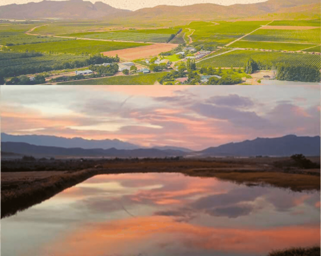 リオラルゴ農園