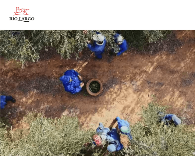 リオラルゴ農園